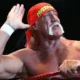 Muere Hulk Hogan - Agencia Carabobeña de Noticias
