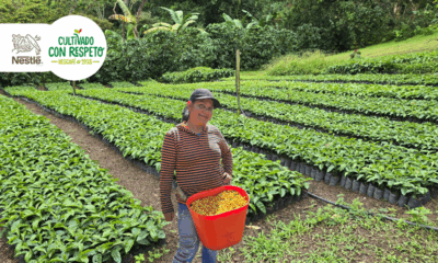 Nestlé caficultura sostenible