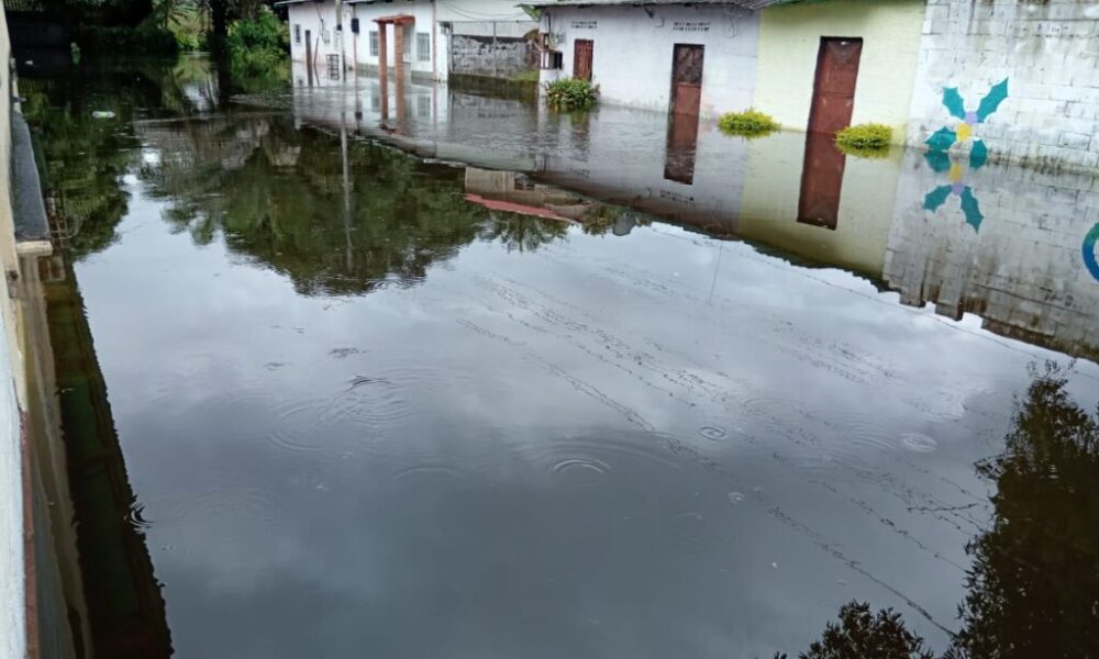Río Orinoco superó nivel - Agencia Carabobeña de Noticias