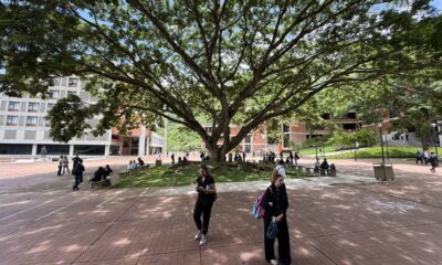 UNIMET QS World University Ranking 2026