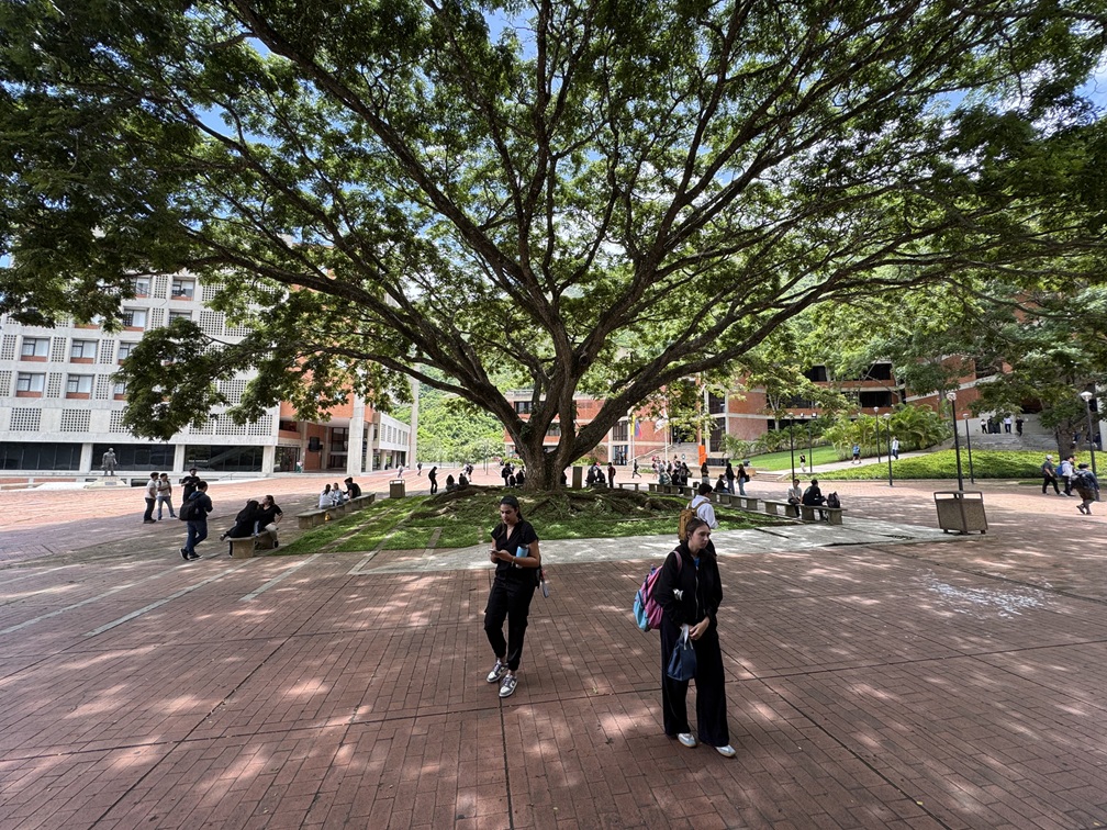 UNIMET QS World University Ranking 2026