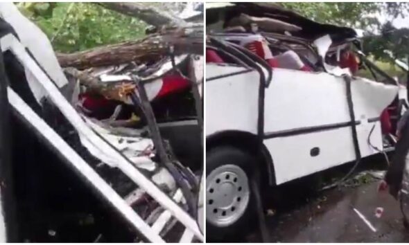 árbol cayó Encava táchira - Agencia Carabobeña de Noticias - acn