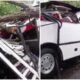 árbol cayó Encava táchira - Agencia Carabobeña de Noticias - acn