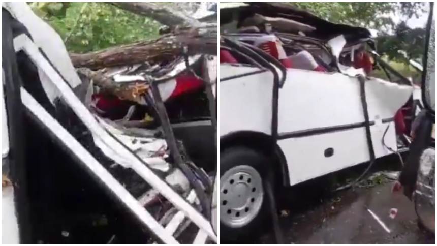 árbol cayó Encava táchira - Agencia Carabobeña de Noticias - acn