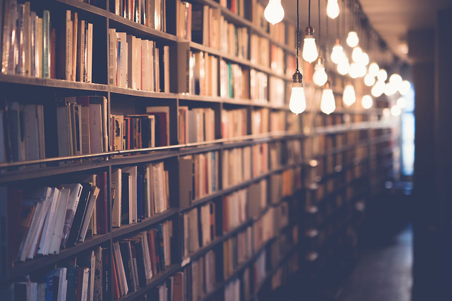 bibliotecas en transformación