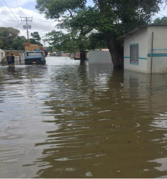 crecida histórica del río Orinoco - Agencia Carabobeña de Noticias