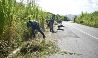 Alcaldía de San Diego realiza operativo de desmalezado - Agencia Carabobeña de Noticias