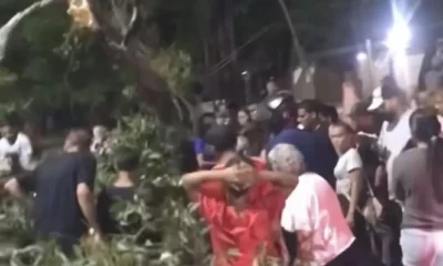 Aplastado por árbol - Agencia Carabobeña de Noticias