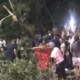 Aplastado por árbol - Agencia Carabobeña de Noticias