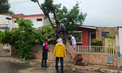 Fumcosandi y Bomberos de San Diego actuaron con rapidez - Agencia Carabobeña de Noticias