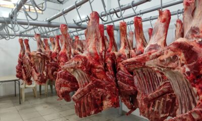 Garantizan abastecimiento de carne - Agencia Carabobeña de Noticias