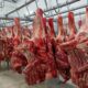 Garantizan abastecimiento de carne - Agencia Carabobeña de Noticias