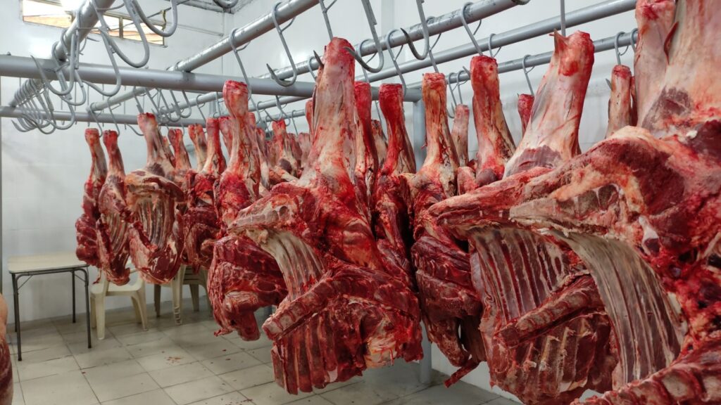 Garantizan abastecimiento de carne - Agencia Carabobeña de Noticias