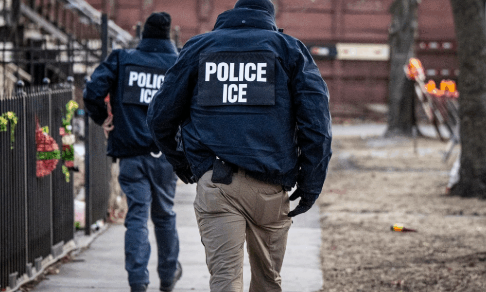 ICE arrestó 8.000 venezolanos - Agencia Carabobeña de Noticias