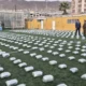 Incautan 1,8 toneladas de droga a banda venezolana - Agencia Carabobeña de Noticias