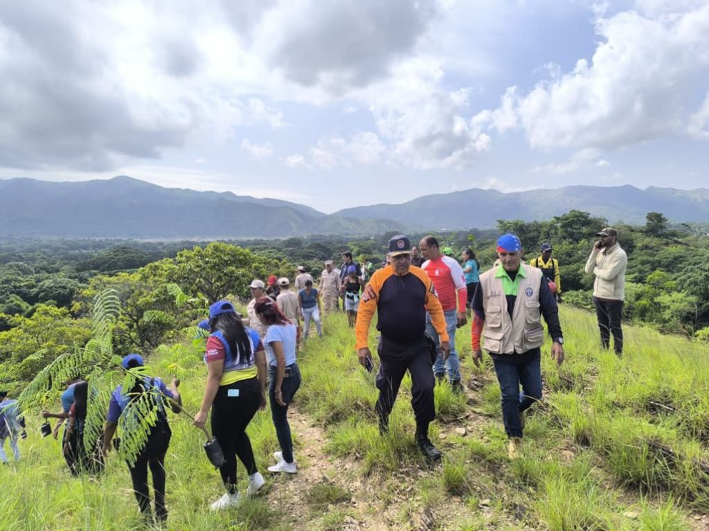 Más de 2 mil árboles sembrados en Guacara - Agencia Carabobeña de Noticias
