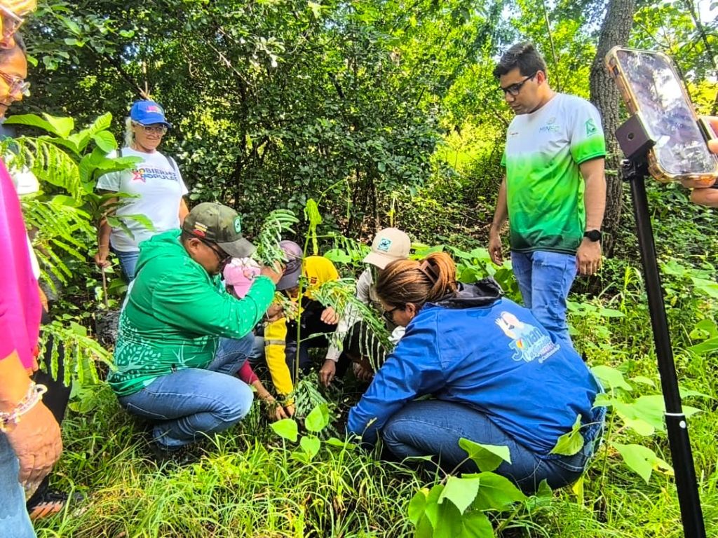 Más de 2 mil árboles sembrados en Guacara - Agencia Carabobeña de Noticias