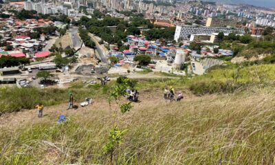 Ministerio Ecosocialismo 74 mil plantas