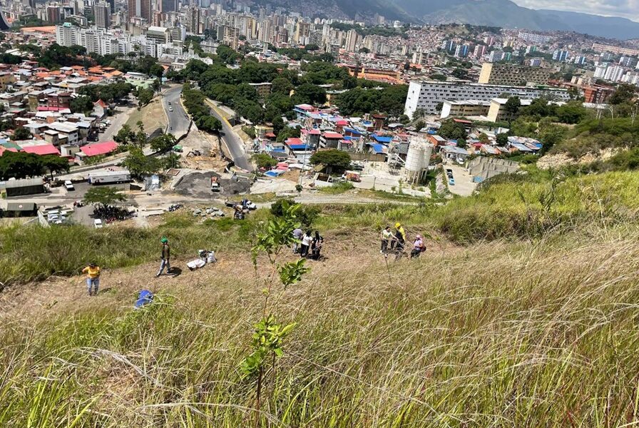 Ministerio Ecosocialismo 74 mil plantas
