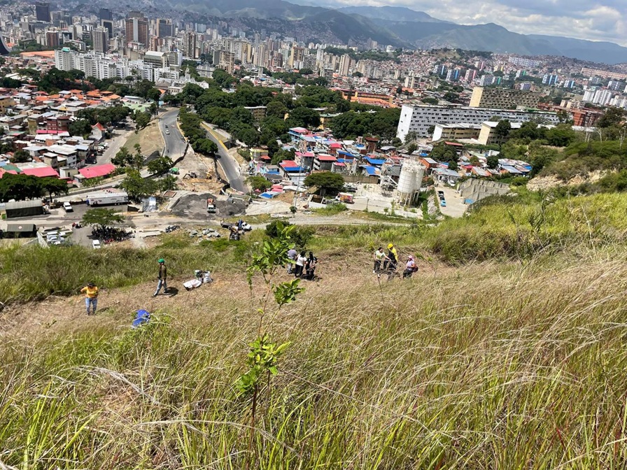Ministerio Ecosocialismo 74 mil plantas