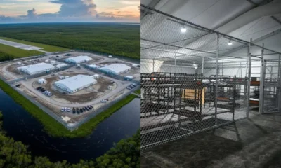 No más detenidos en Alligator Alcatraz - Agencia Carabobeña de Noticias