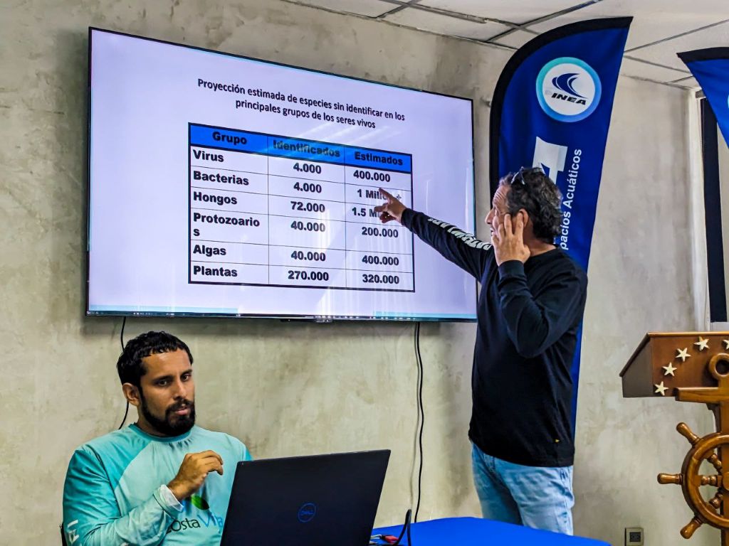 Plan integral para recuperación y preservación de zona costera - Agencia Carabobeña de Noticias