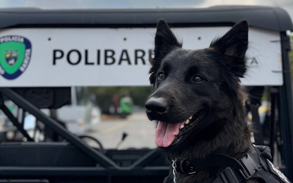 PoliBaruta Brigada Canina