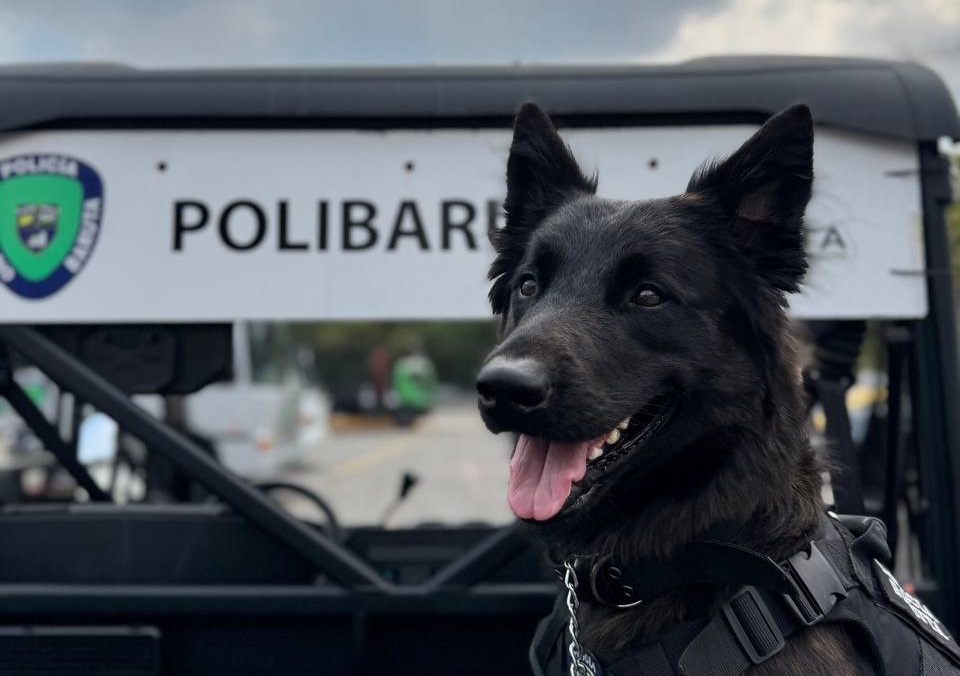 PoliBaruta Brigada Canina