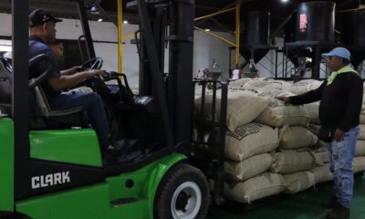 Venezuela café verde Estados Unidos