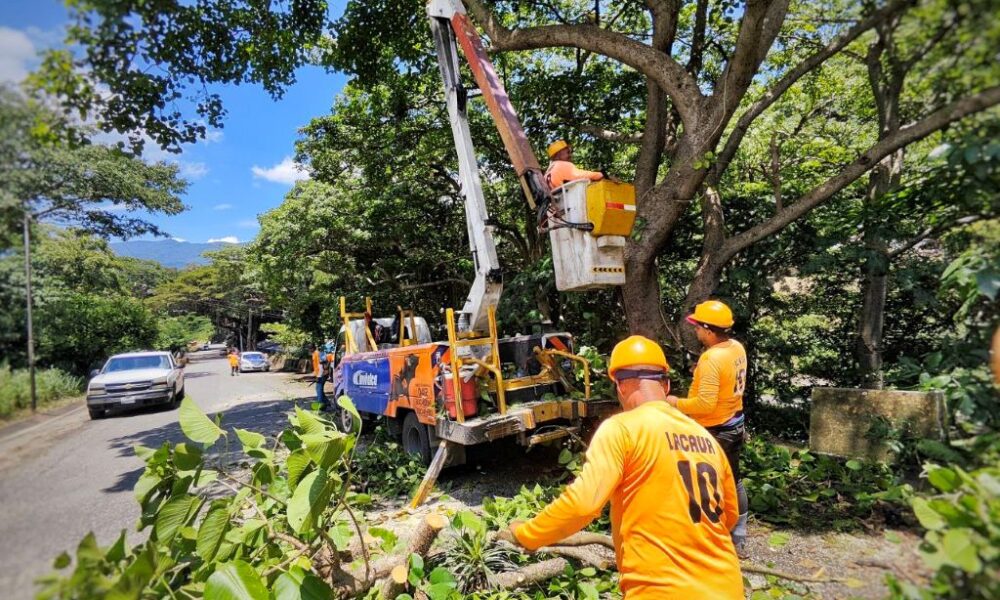 Completan trabajos en carretera nacional Las Trincheras - Agencia Carabobeña de Noticias