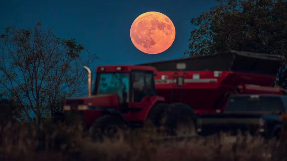 Eclipse lunar total - Agencia Carabobeña de Noticias