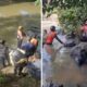 Hallan cuerpo de un oficial de la PNB en un río - Agencia Carabobeña de Noticias