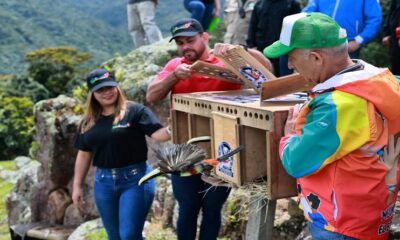 Liberan aves El Indio