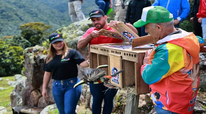 Liberan aves El Indio