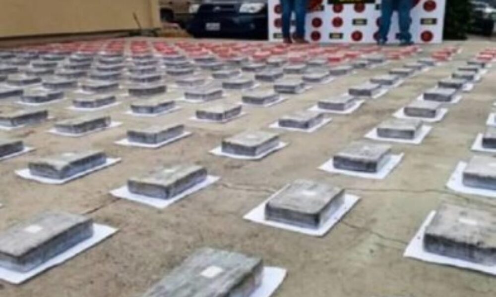 Más de 131 mil personas procesadas por narcotráfico - Agencia Carabobeña de Noticias