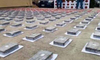 Más de 131 mil personas procesadas por narcotráfico - Agencia Carabobeña de Noticias