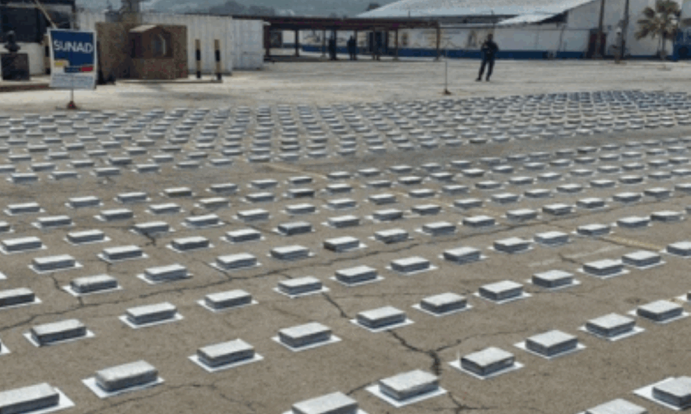 Más de 60 toneladas de droga incautadas - Agencia Carabobeña de Noticias
