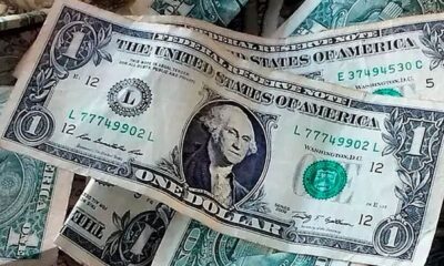 Precio del dólar del 10 de septiembre - Agencia Carabobeña de Noticias