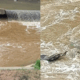 desaparecido río Guaire