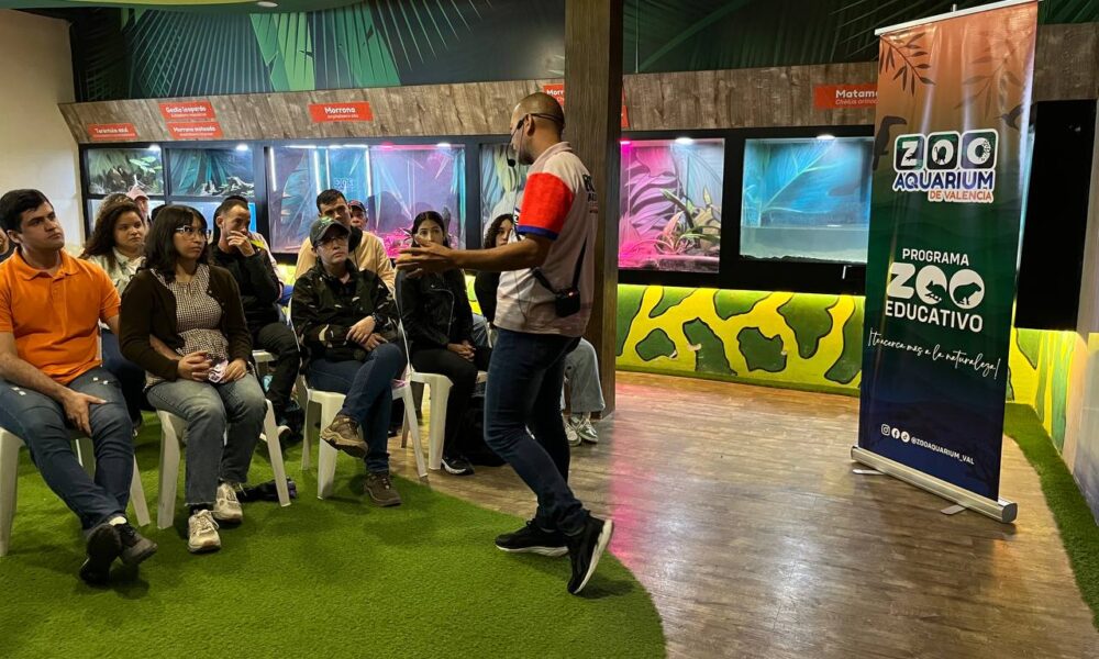 taller sobre serpientes