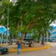 Avanza remodelación de cardiología - Agencia Carabobeña de Noticias