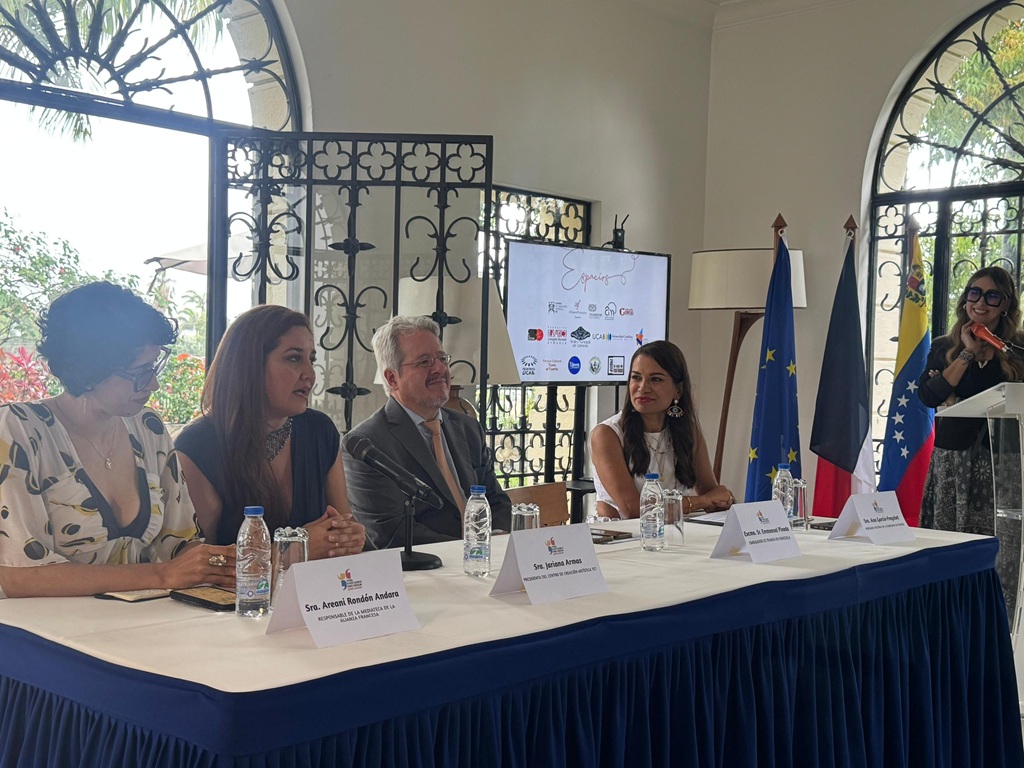 Festival Franco-venezolano actividades