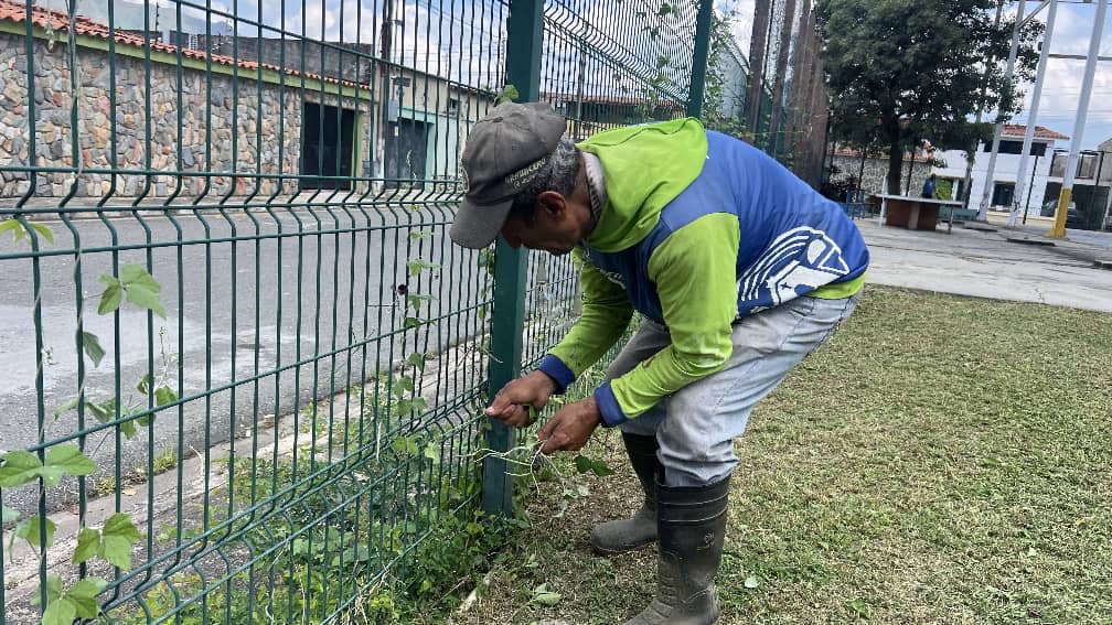 Fumcosandi realiza limpieza de áreas verdes en colegios estadales - Agencia Carabobeña de Noticias