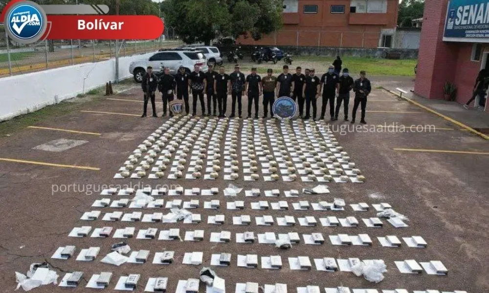Incautan explosivos y estupefacientes en Bolívar - Agencia Carabobeña de Noticias