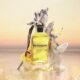 Louis Vuitton Fantasmagoría