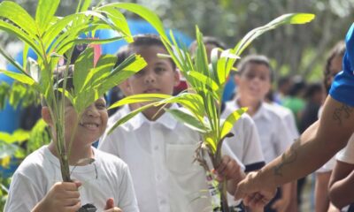 Mega Jornada de Reforestación en Diego Ibarra - Agencia Carabobeña de Noticias