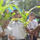 Mega Jornada de Reforestación en Diego Ibarra - Agencia Carabobeña de Noticias