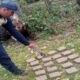 PNB incautó 10 kilogramos de droga - Agencia Carabobeña de Noticias