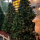 Se estima incremento del 10% en ventas en diciembre - Agencia Carabobeña de Noticias