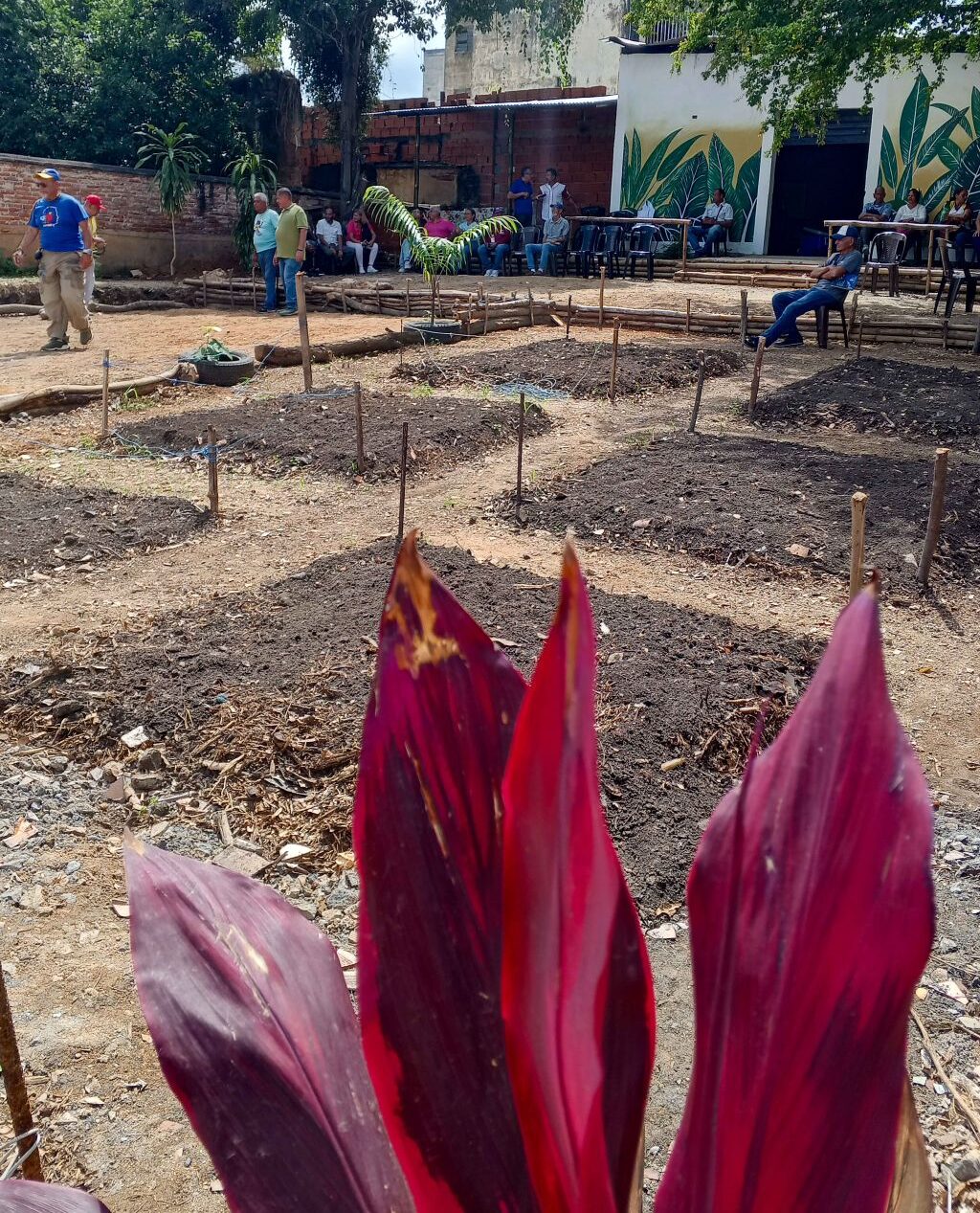 Vivero Café Jardín La Comuna - Agencia Carabobeña de Noticias